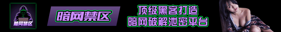 91暗网
